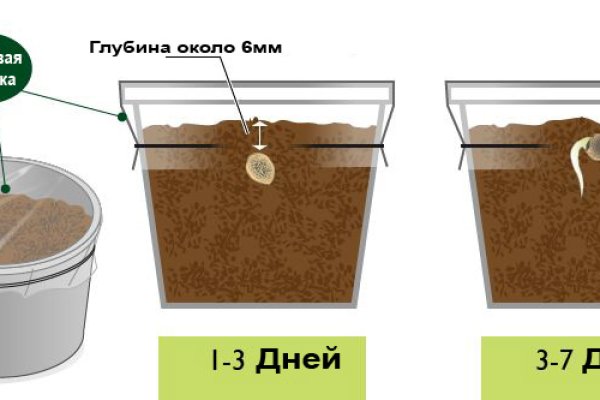 Блэк спрут вход в личный кабинет