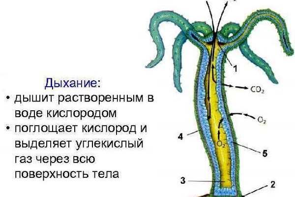 Рабочее зеркало blacksprut