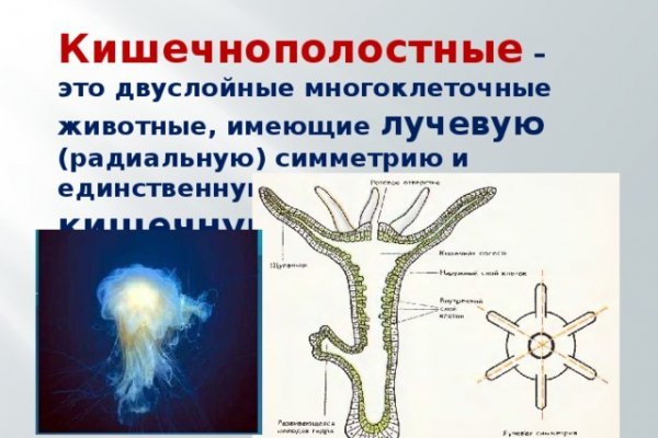 Восстановить аккаунт блэк спрут